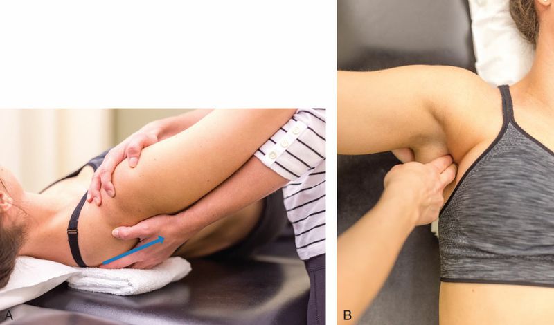 Subscapularis - Afbeelding 4