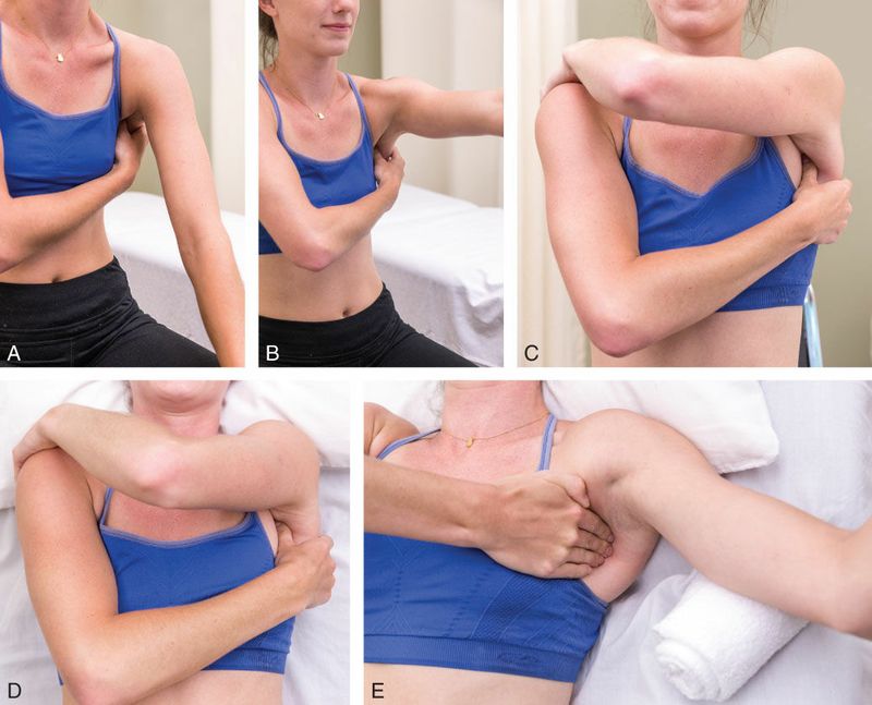 Subscapularis - Afbeelding 5