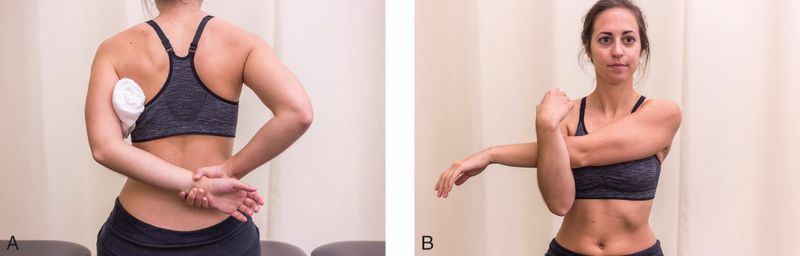 Supraspinatus - Afbeelding 6