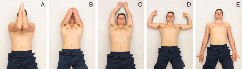 Trapezius - Afbeelding 10