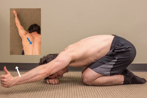 Trapezius - Afbeelding 13