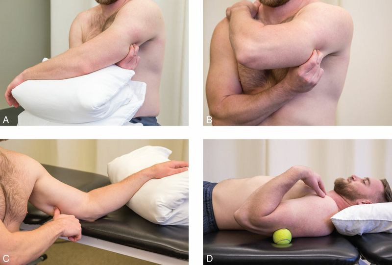 Triceps Brachii - Afbeelding 8